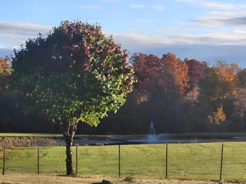 Lake at site Country Life RV Parks and Services