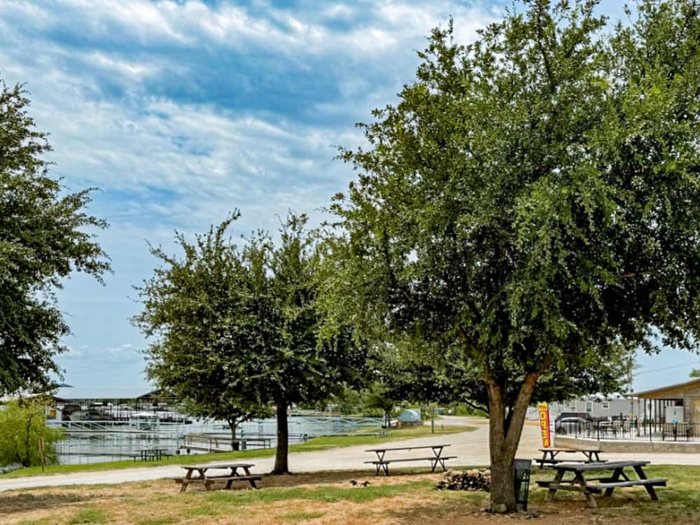 Picnic tables under shade trees