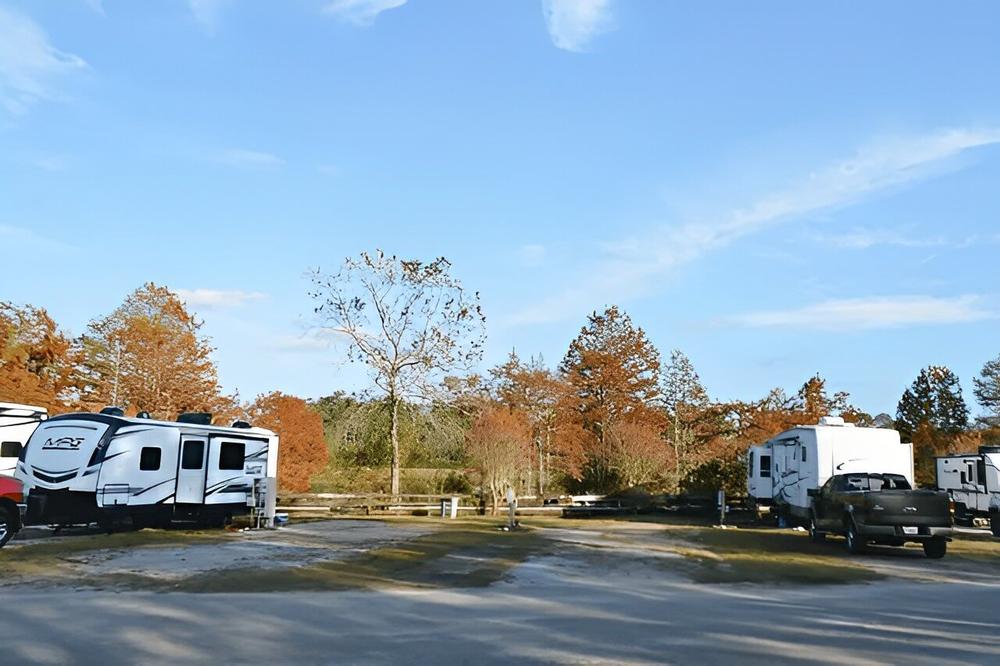RVs in shaded sites