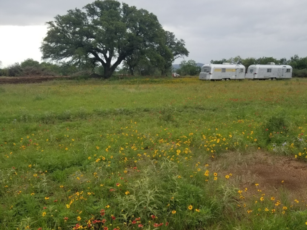 Airstream trailers in a field at Atomic Ranch Retro Resort