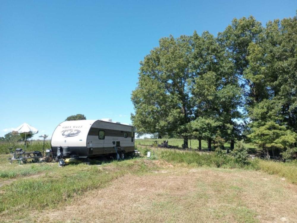 Camping trailer in a grassy site at Cedar Ridge RV Park & Storage