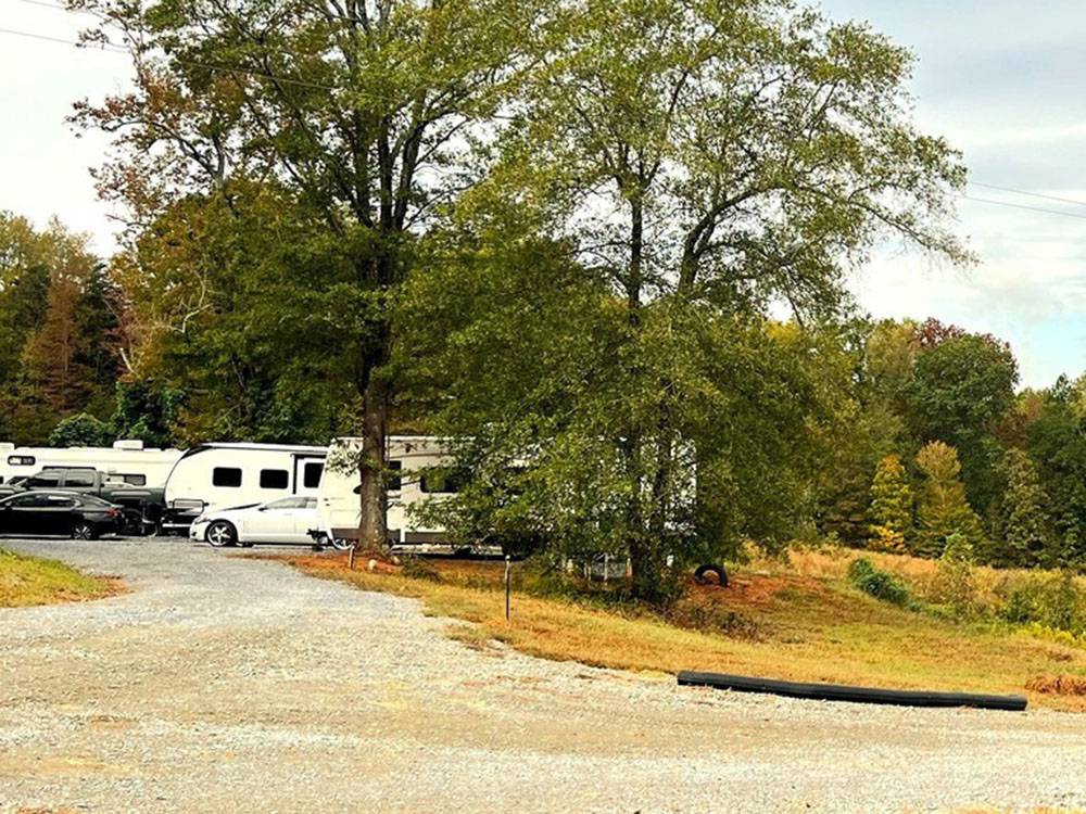 Trees and grassy area