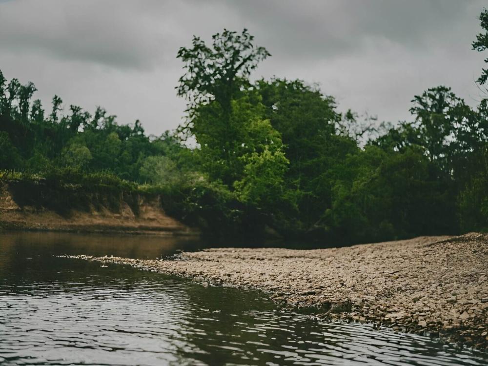 Creek view at Soggy Bottoms Campground