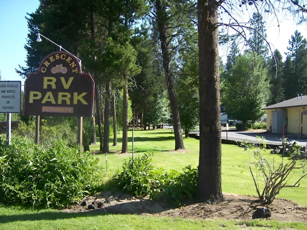 Tree lined road at Crescent RV Park