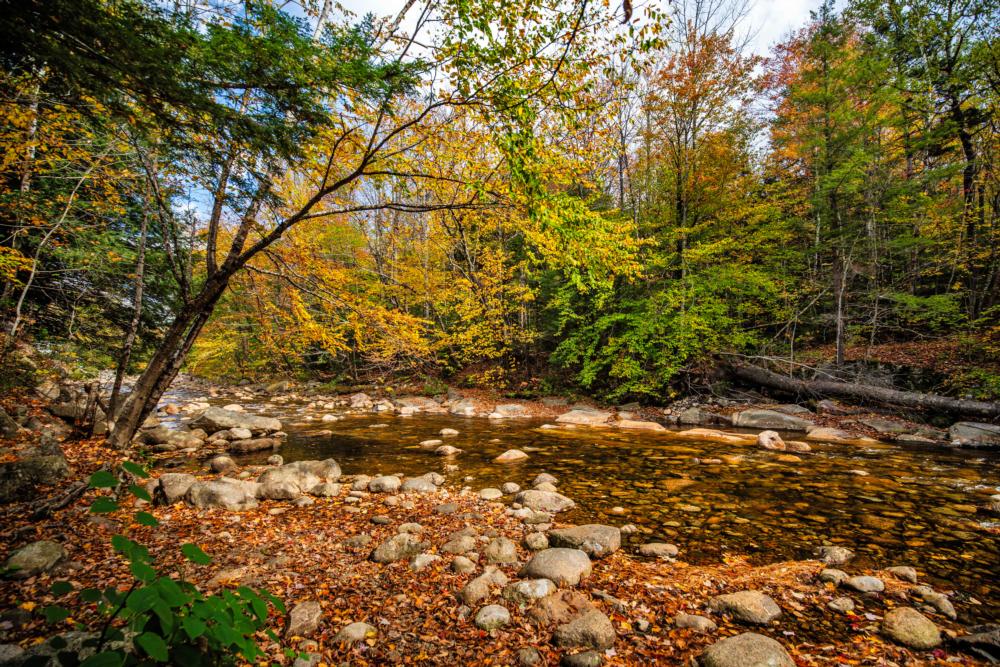 Creek at site Pemi Cabins