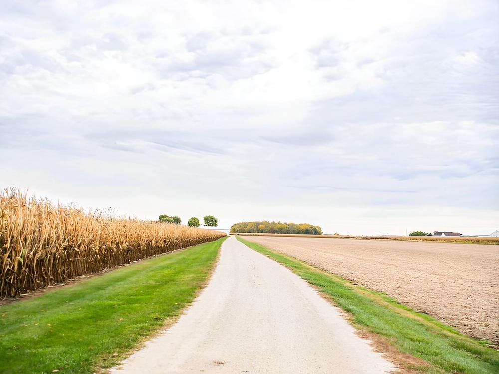 Road leading to the ranch