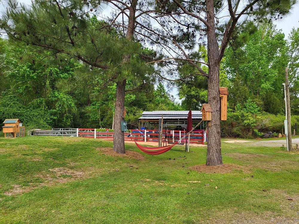 View of hammock outside of petting farm at HITCHINPOST RV PARK AND CAMPGROUND