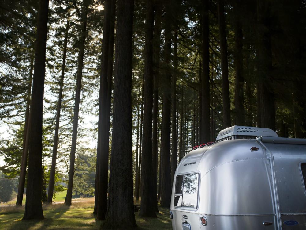 Parked trailers at site Hot Springs Campground