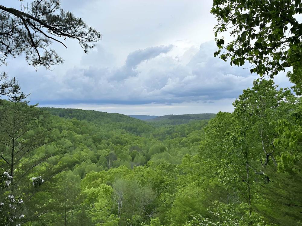 Aerial view of the lush green valley