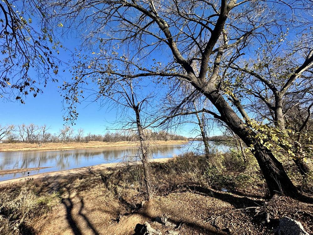 Trees line the riverbank at RIVERSHIRE RV RESORT & CAMPING