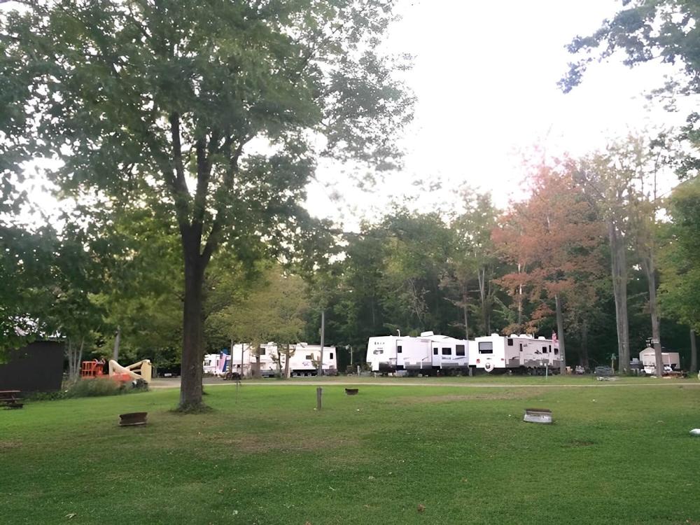 Camper surrounded by trees at Sterling Creek Campground