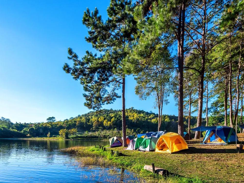 Group of tents near lake at BRIDGEVIEW RV PARK