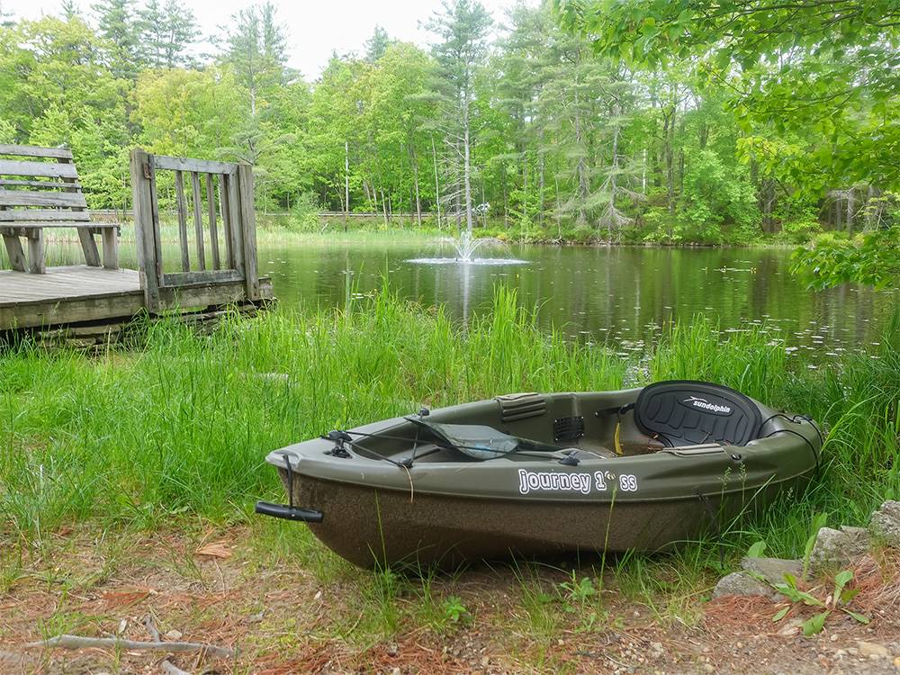 A boat next to the water