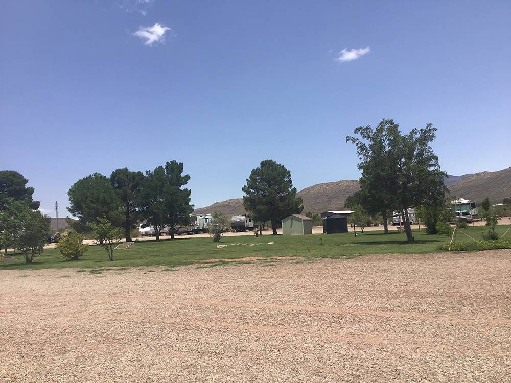 Grassy area with trees at Mountain Meadows RV Park