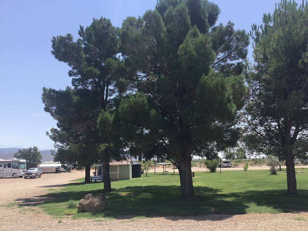 Shaded grassy area at Mountain Meadows RV Park