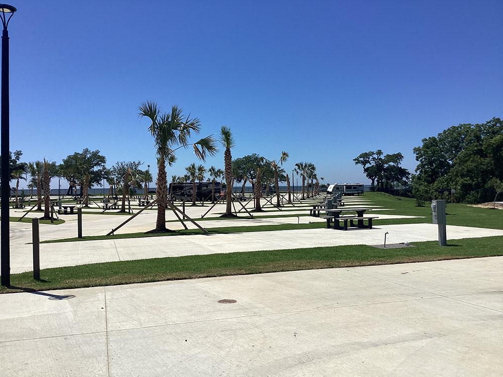 New resort with large palm trees at GULFPORT LUXURY RV RESORT