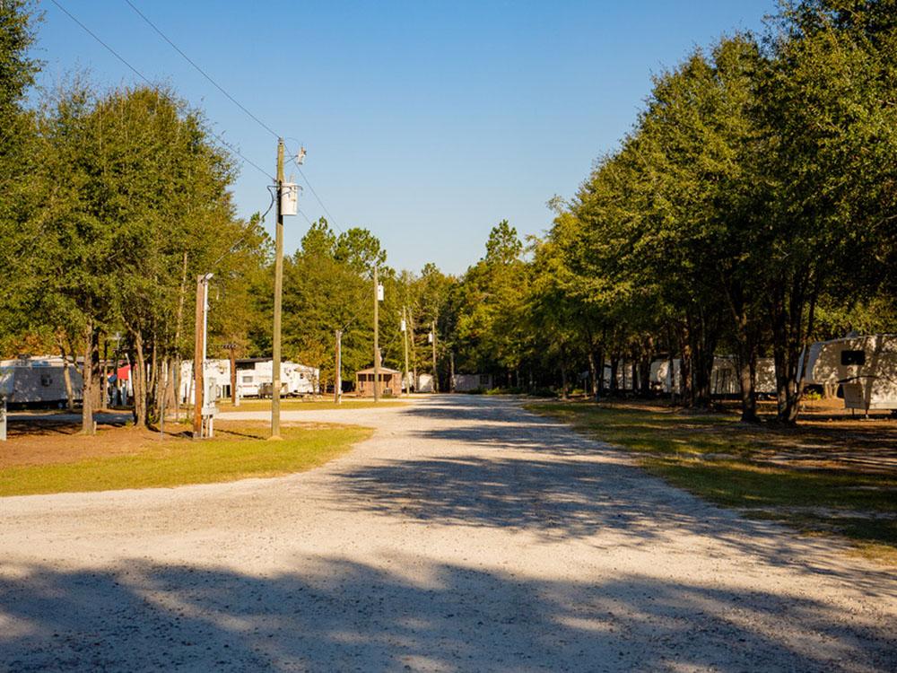 The road going thru the campground at DOGWOOD RV PARK