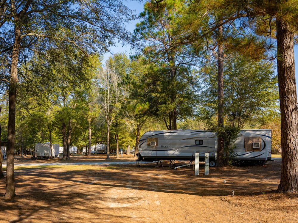 Travel trailers parked in RV sites at DOGWOOD RV PARK