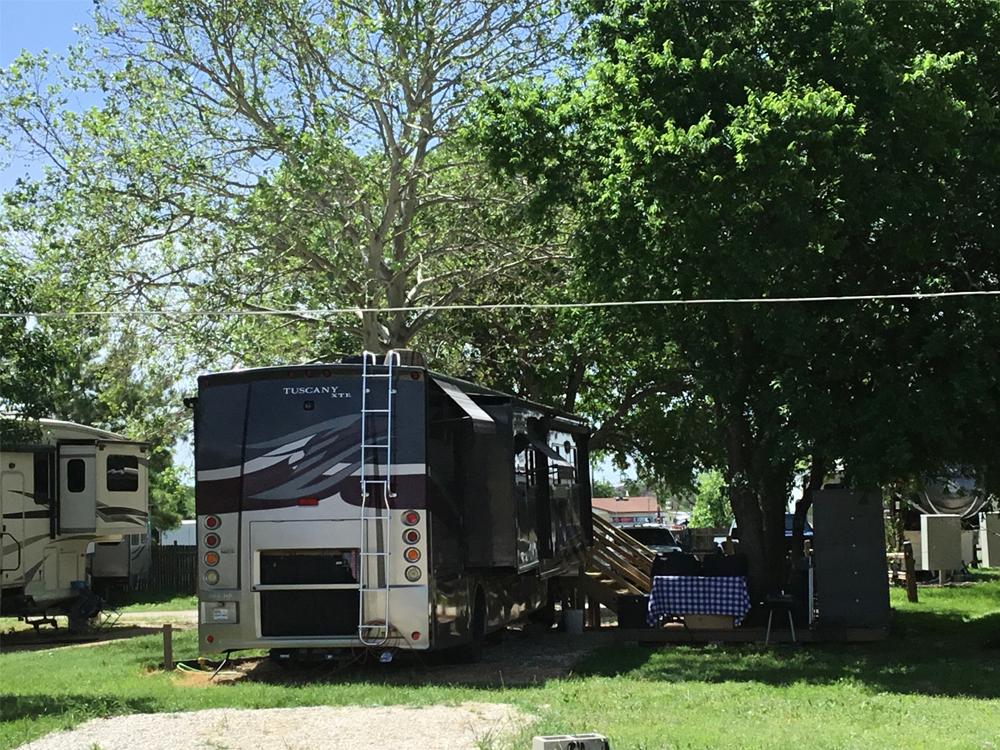 A motorhome parked in a site under a tree at BROKEN SPOKE RV