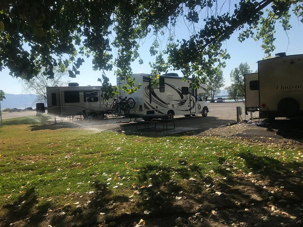 RVs in grassy spaces at LAKE SHORE RV PARK