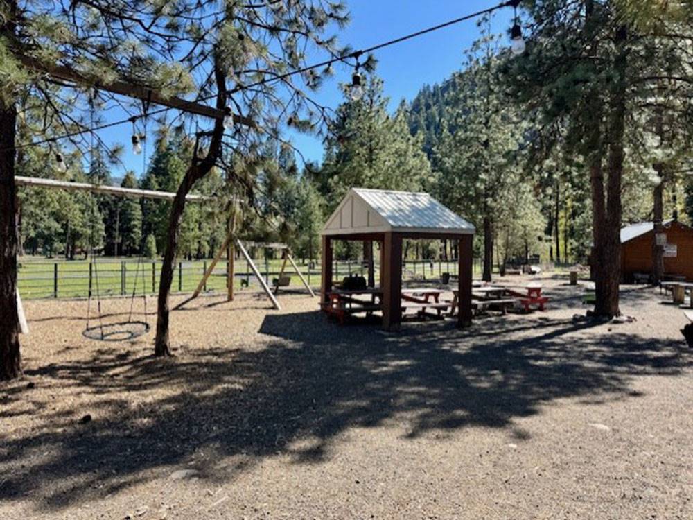 Playground area