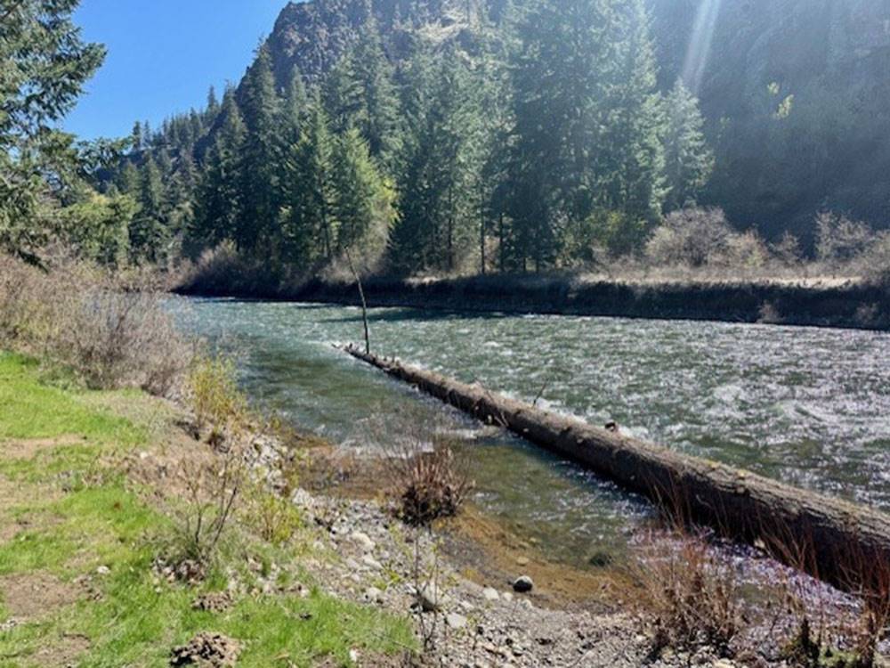 Naches River nearby