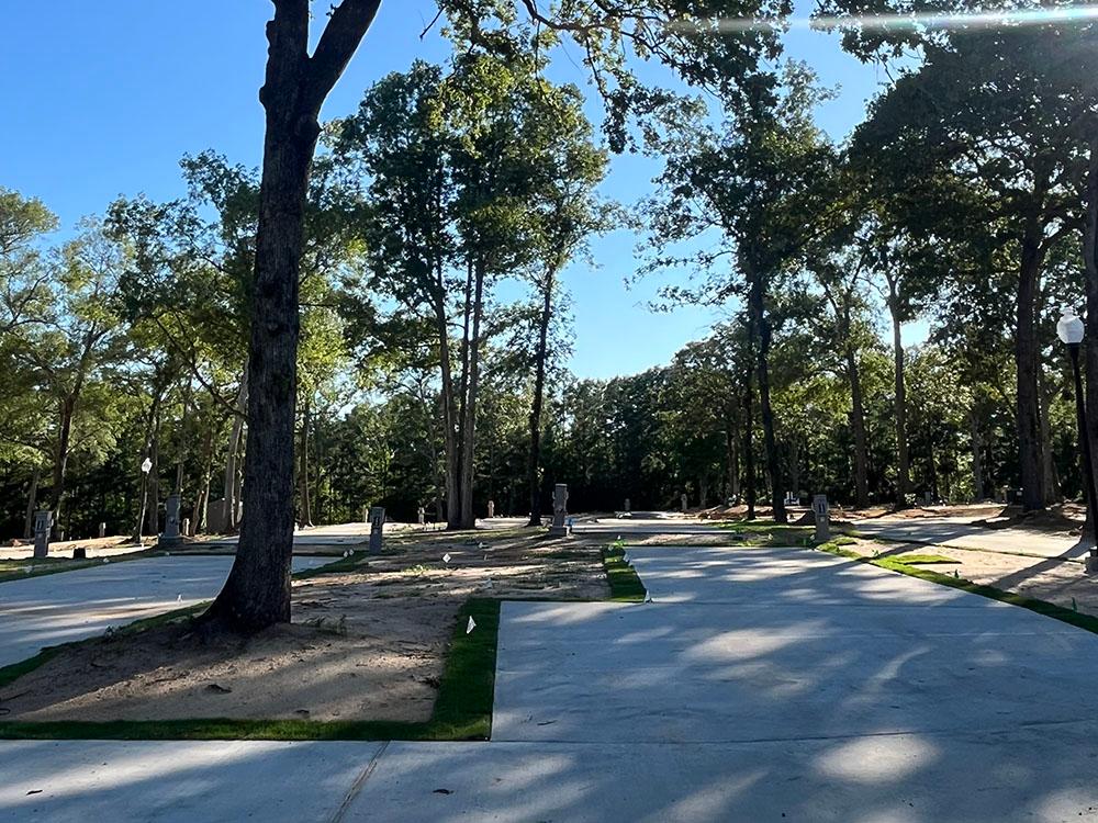 Beautiful shaded sites by tall trees at WILLIS HILLSIDE RV RESORT