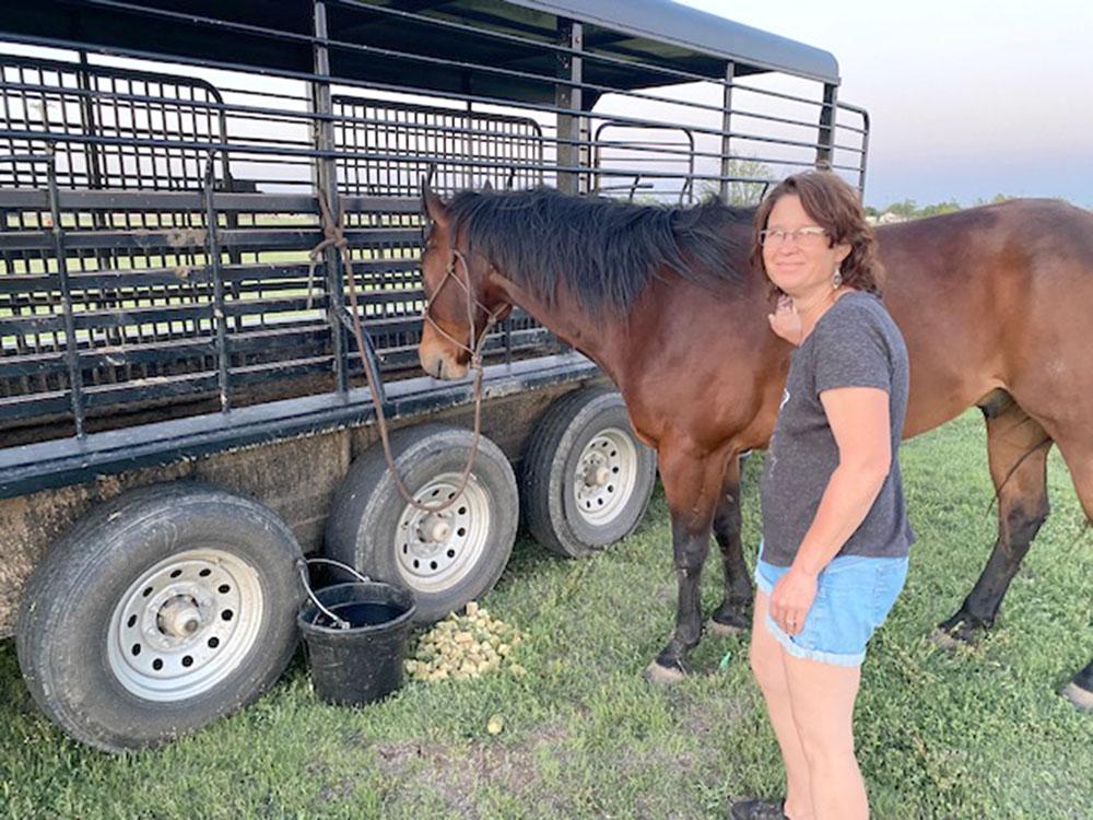 A woman tending to a horse near a horse trailer at SILVER WIND RV PARK AND CABINS