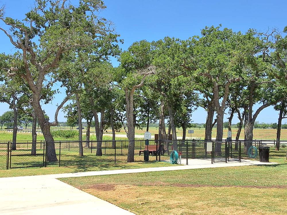 The enclosed dog park