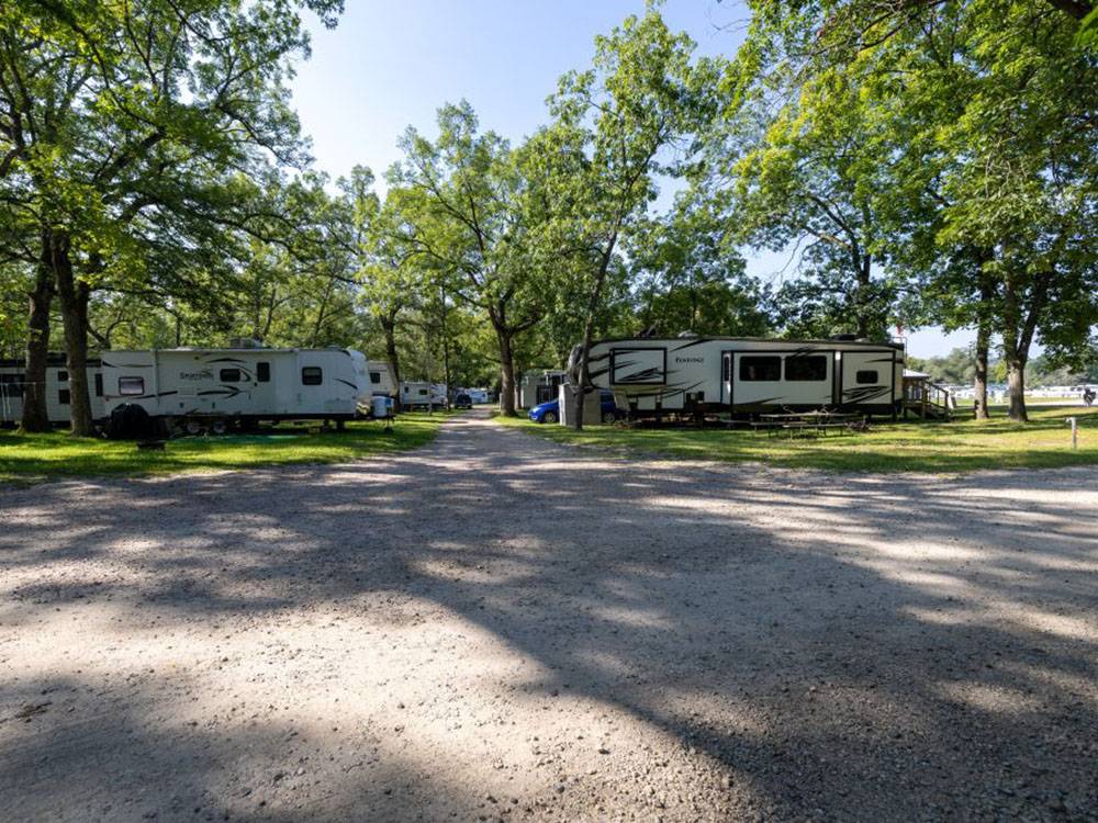 RVs parked in shaded sites