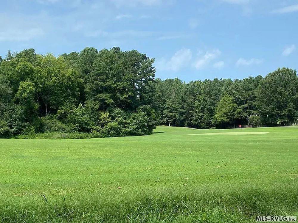 Grass field surrounded by trees