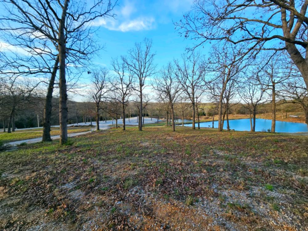 Trees, grassy area and pond at Mimosa Place RV