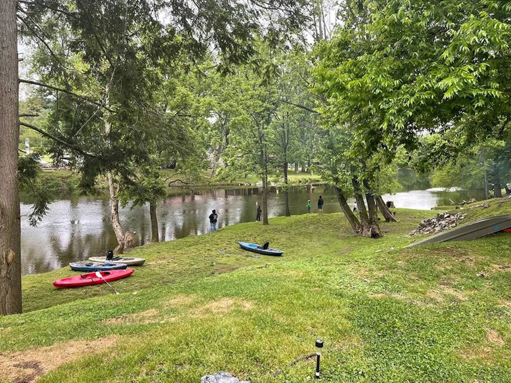 Kayaks near the shore