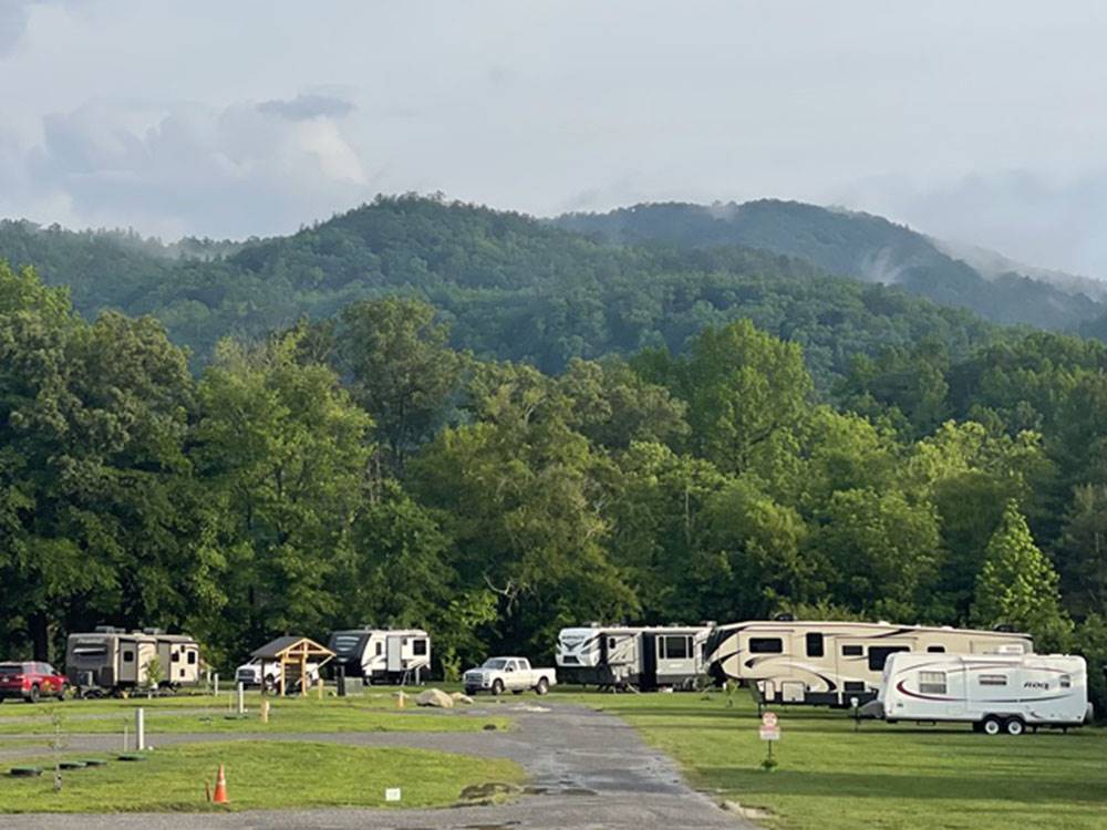 Sites surrounded by trees