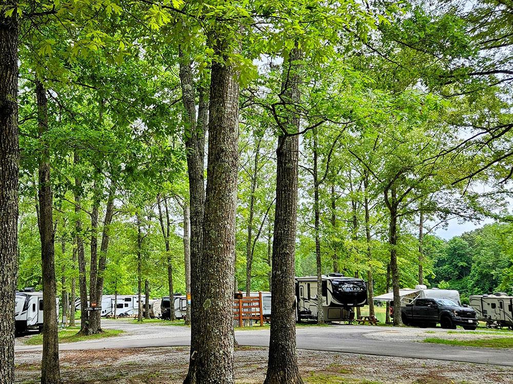 Sites shaded by trees at MOUNTAIN TOP RV PARK