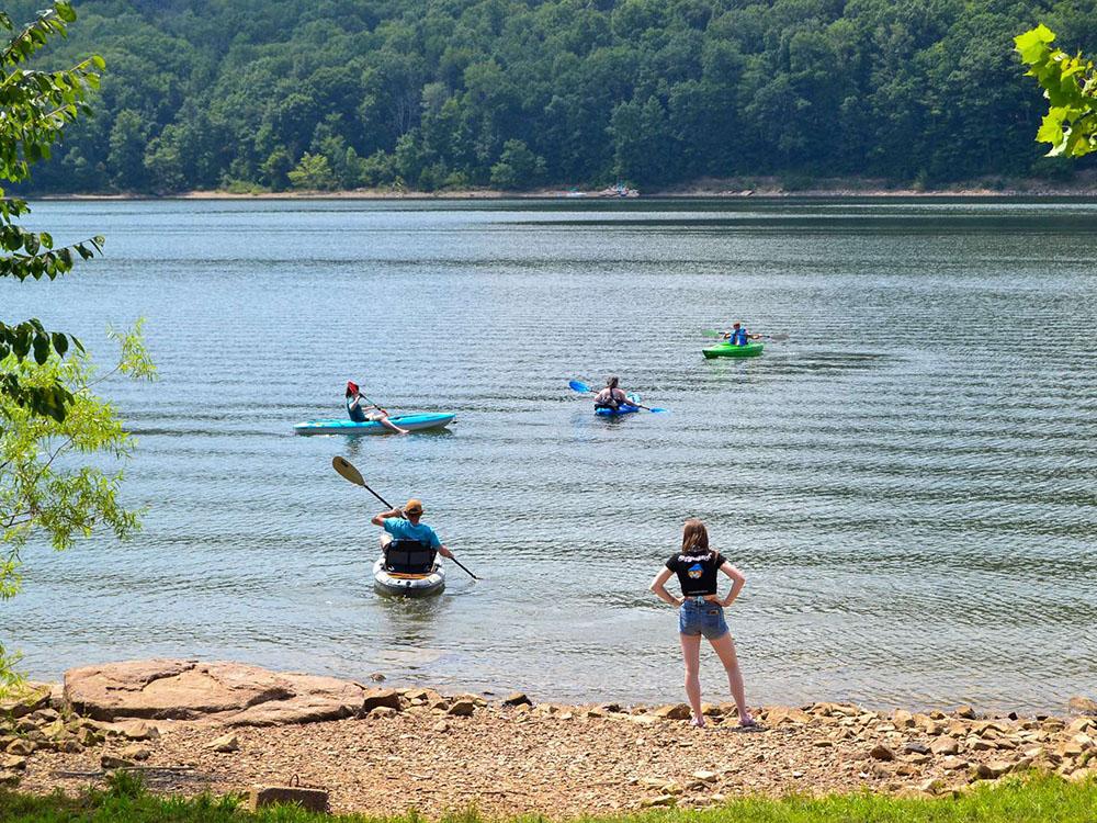 Four kayakers paddling out at KINZUA EAST KAMPGROUND