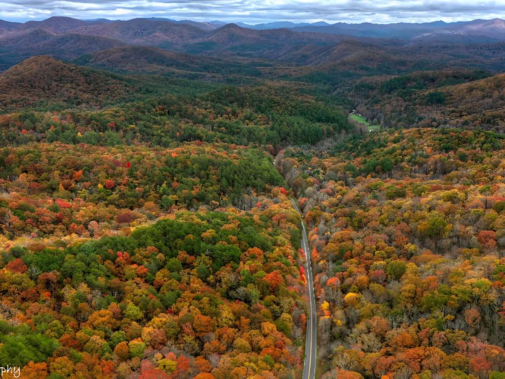 Fall trees at site Blue Ridge RV Resort