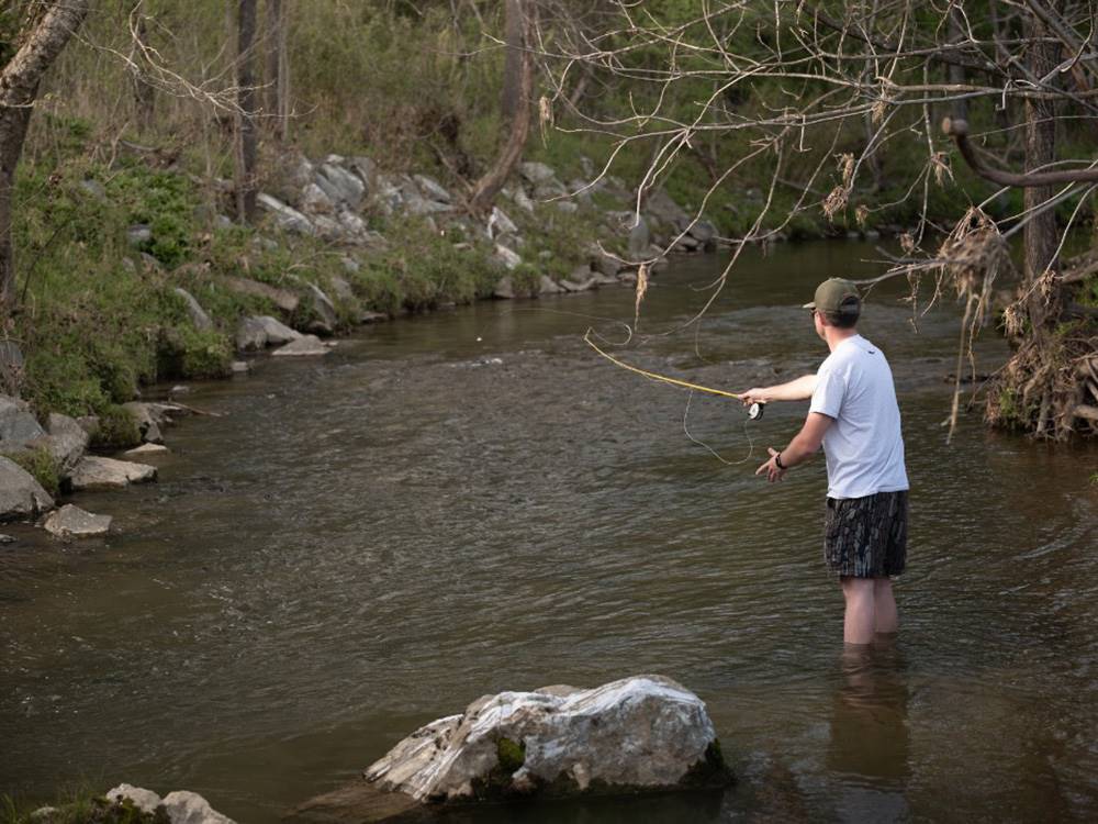 Blue Ridge RV Resort 8
