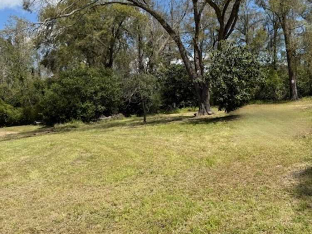 Grassy field at Plantation RV Trailer Park