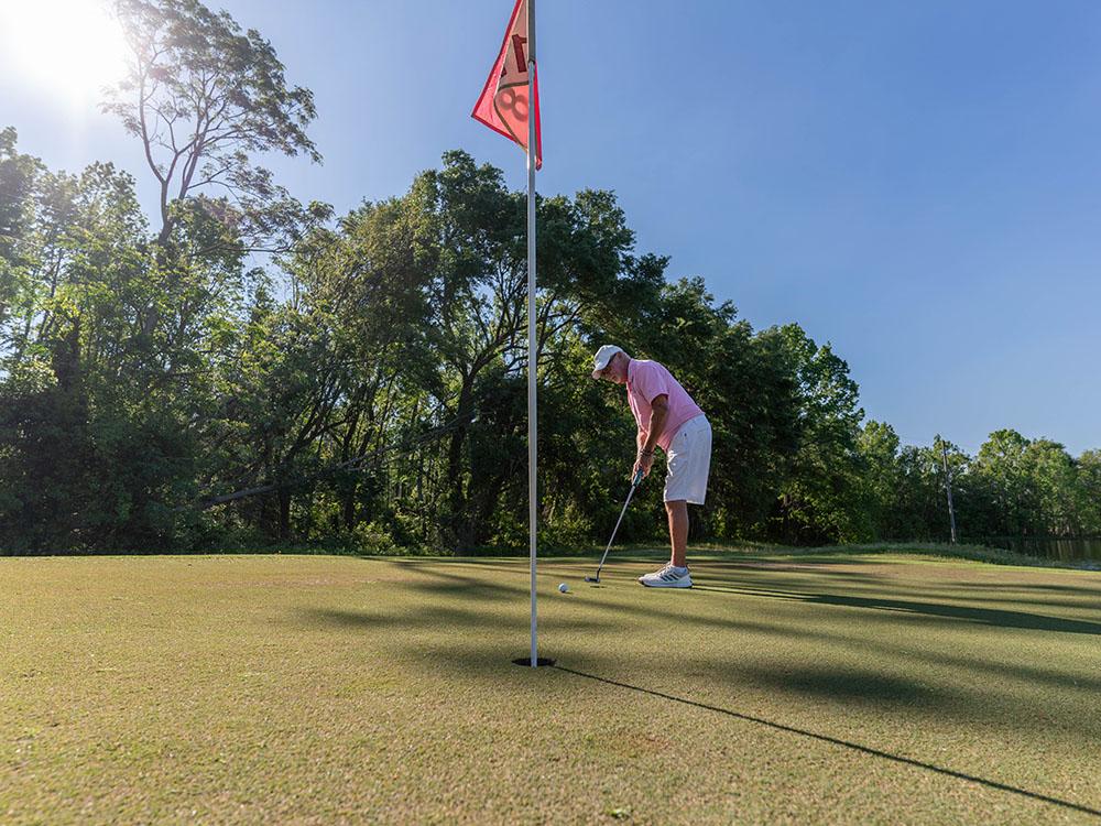 A man about to sink a shot on the golf course