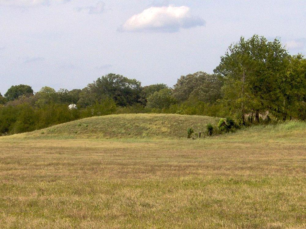 Open green field at ROCK WALL RV PARK