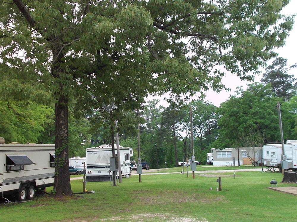 RVs among the trees at PINE RIDGE RV PARK