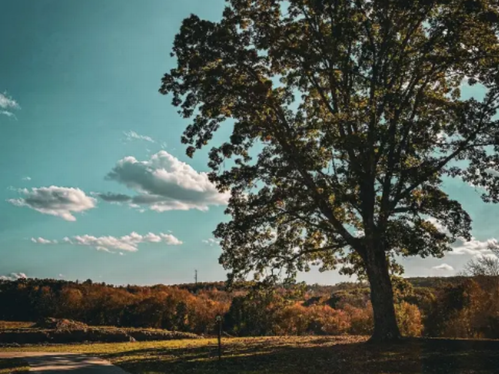 A scenic view of the valley and sky at Skyridge Trails Campground