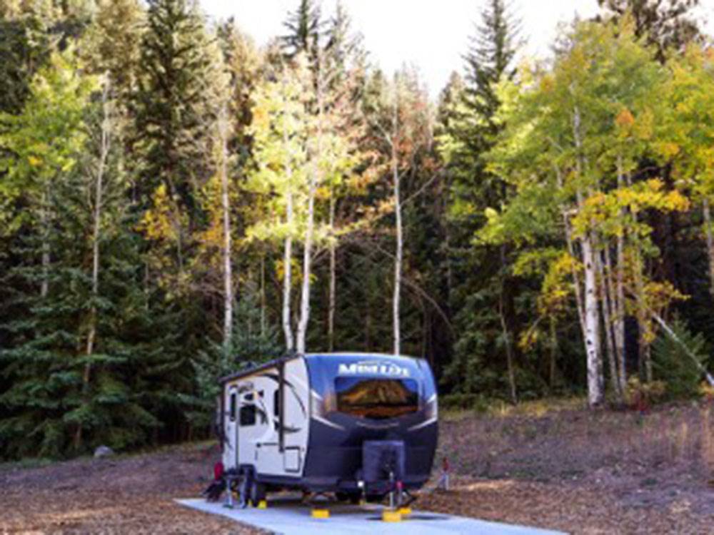 RV site by the trees