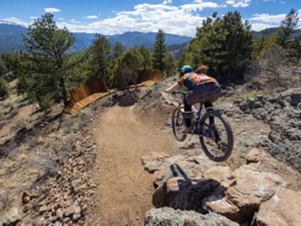 Mountain bike riding