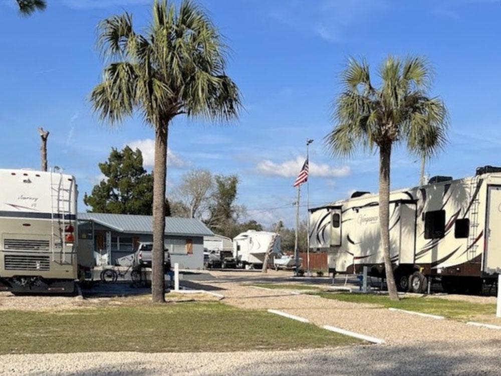 RVs, office and two palm trees at STEINHATCHEE VILLAGE RV PARK