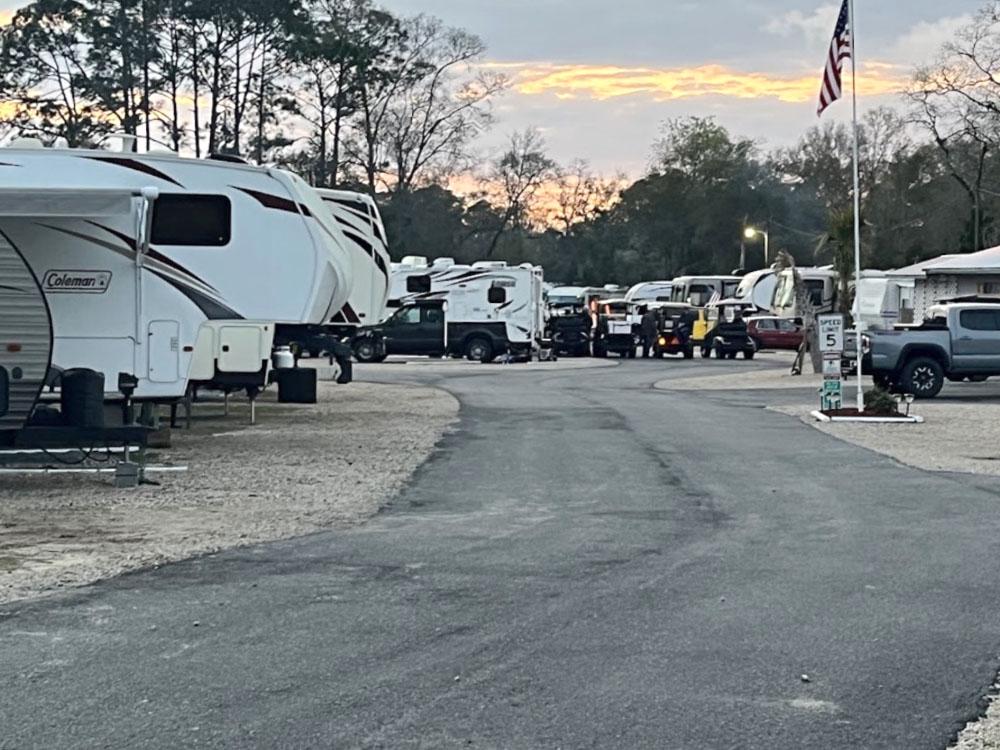 A row of RVs parked along a paved road at STEINHATCHEE VILLAGE RV PARK