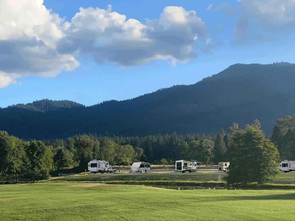 RVs across a grassy field at APPLEGATE RV RESORT