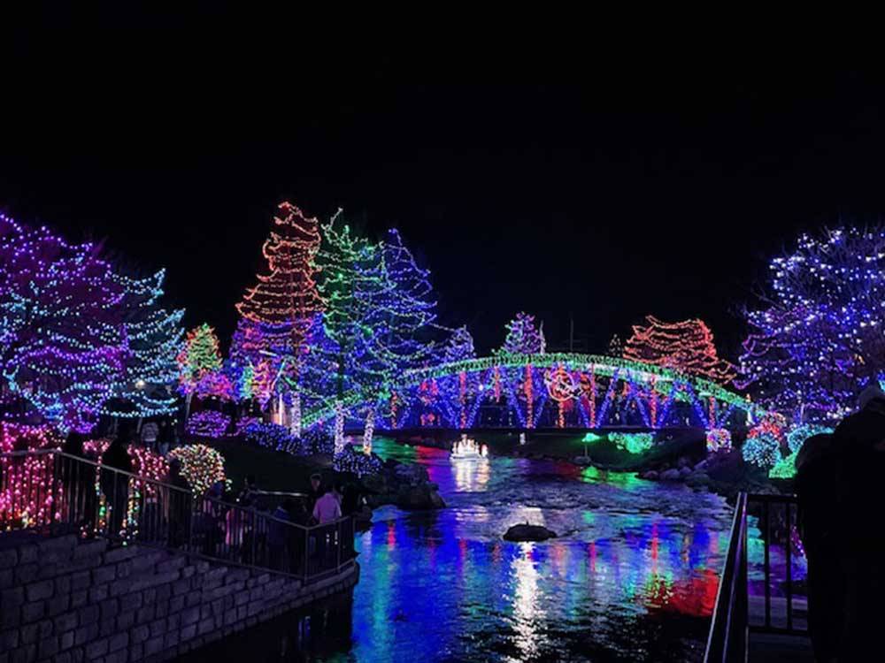 Trees strung with multi-colored lights at night at Sun Creek Point RV Park