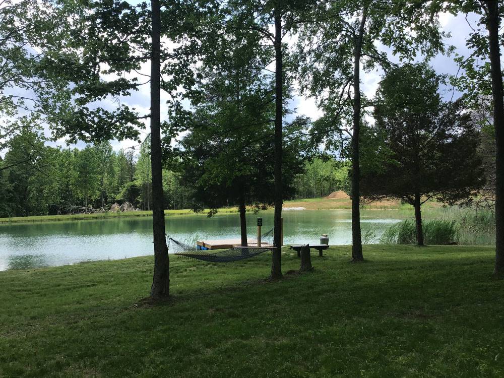 A view of the pond and dock through the trees